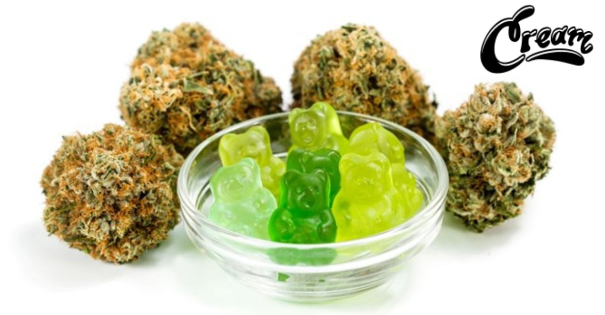 Strongest Delta-8 THC Gummies to Try in 2023