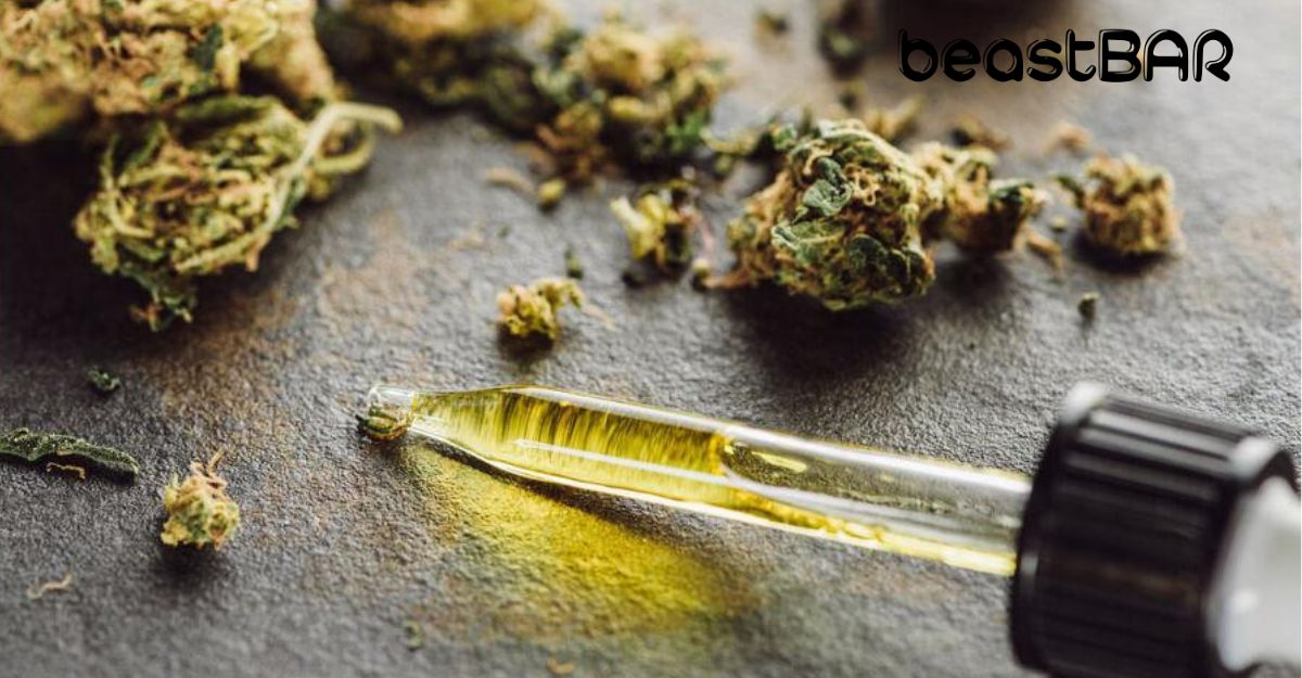 9 Best Delta 8 Brands of 2022: Reviews of the Top THC Companies and Products